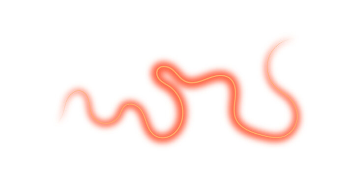 Abstract glowing coral red neon wave line on a clean white background, soft blurred organic curves with luminous edges, minimalist fluid light design for modern digital art and creative graphic projec