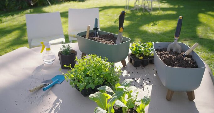 Camera is panning and zooming to reveal seedlings and raised planters on round table