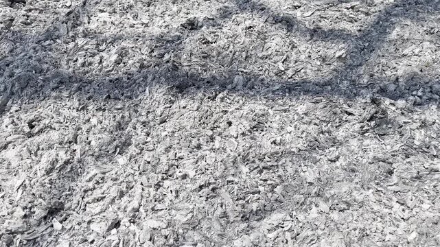 Charcoal and Burnt Soil Surface Texture