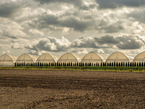 Row Of Greenhouses On Agricultural Field Under Dramatic Cloudy Sky For Commercial Horticulture