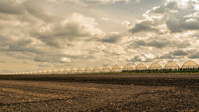 Row Of Greenhouses On Agricultural Field Under Dramatic Cloudy Sky For Commercial Horticulture
