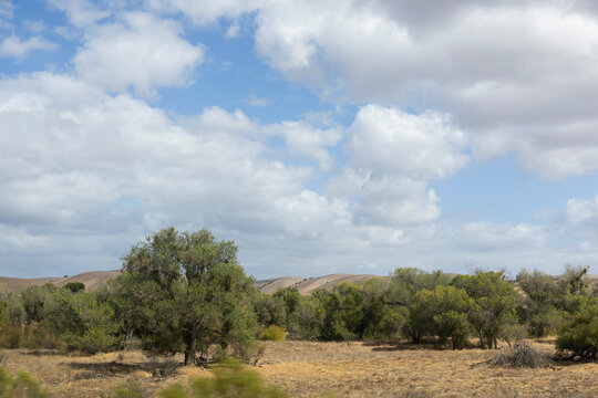 California landscape on a sunny day