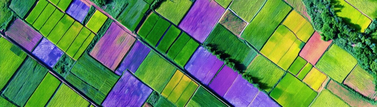 A vibrant aerial view of colorful agricultural fields divided into geometric sections with varying shades of green, purple, and yellow, bordered by trees.