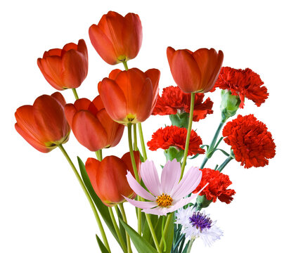Red tulips and other flowers arranged in a bunch isolated on transparent background, PNG file