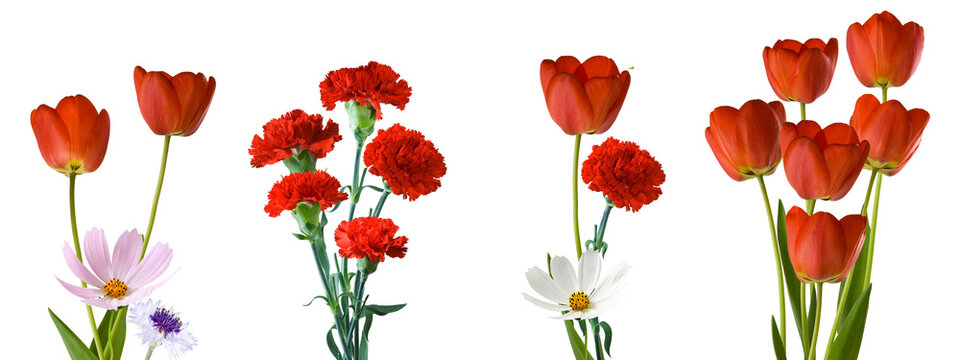 Bouquets of flowers with red tulips, red carnations, and white daisies arranged isolated on transparent background, PNG file