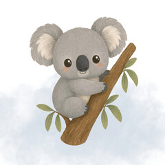 Koala, • koala bear  • Phascolarctos cinereus (nama ilmiah koala) • Australian koala • marsupial (hewan berkantung) • Australian wildlife © Yasalman
