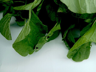 fresh spinach leaves on white background © Joa Marlina