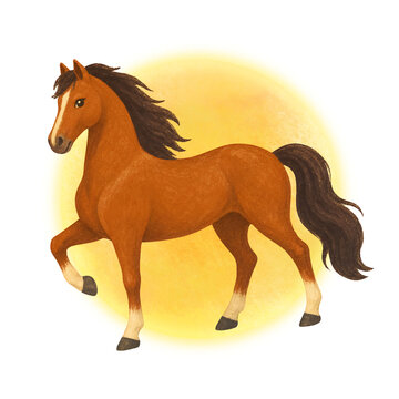 &bull; Horse &mdash; Kuda (umum)
&bull; Stallion &mdash; Kuda jantan dewasa
&bull; Mare &mdash; Kuda betina dewasa
&bull; Foal &mdash; Anak kuda
&bull; Colt &mdash; Anak kuda jantan
&bull; Filly &mdash; Anak kuda betina
&bull; Pony &mdash; Kuda poni (kuda berukuran kecil)