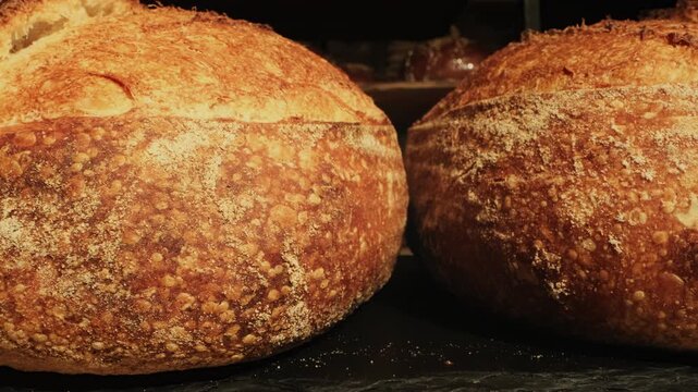 Golden brown artisan bread sits on tray after baking closeup. Handmade sourdough loaves highlights authentic production and traditional bakery skills