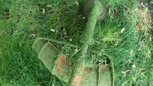 Person trimming tall green grass with string trimmer