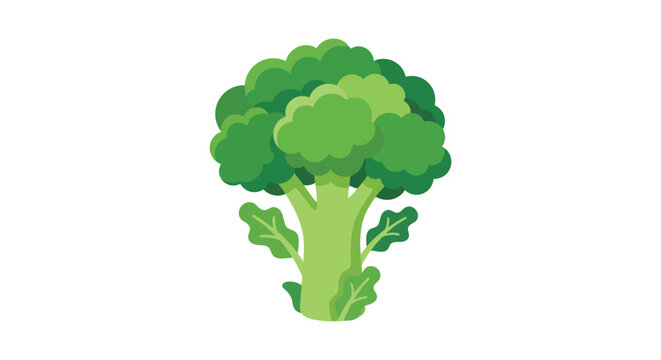 A vibrant green broccoli illustration stands against a plain white background vegetable produce greens