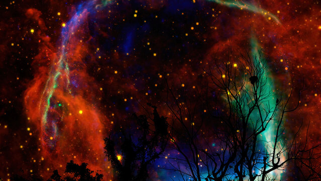Supernova Remnant RCW 86 rotating over silhouette dry branch trees