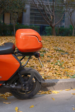 In autumn, fallen leaves in the community covered the grassland.