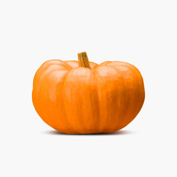 pumpkin isolated on white