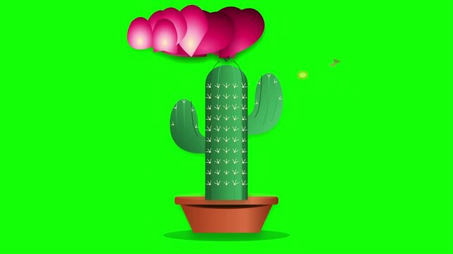 2d animated potted cactus growing on vibrant green screen background