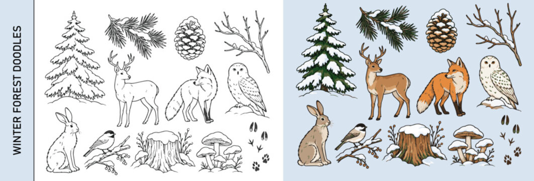 Woodland Winter Nature Vector Elements with Forest Animals, Pine Branches and Snowy Details