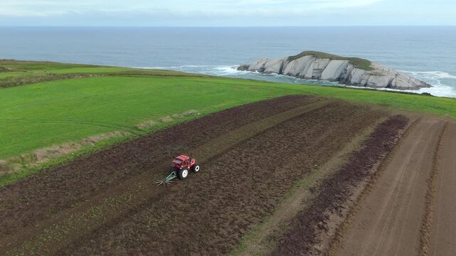 An aerial view of a red tractor raking harvested red algae seaweeds on a coastal field close to the ocean