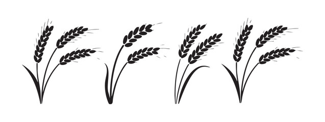 Fototapeta premium Wheat Ears Agriculture Harvest and Organic Grain Vector Design and Featuring Cereal Stalks Barley and Rye Plant Icon Set