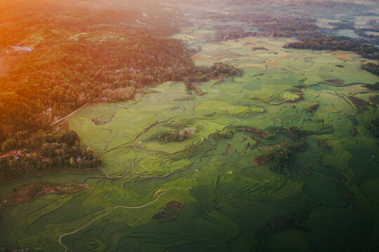 Aerial view of the lush green terraced rice fields of Wee Kacura, illuminated by golden hour sunlight, with rolling hills in Kecamatan Wewewa Timur, Nusa Tenggara Timur, Indonesia.