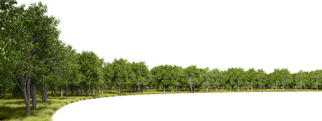 Fototapeta premium Forest trees curve landscape panoramic cutout transparent backgrounds 3d render png