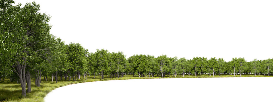 Forest trees curve landscape panoramic cutout transparent backgrounds 3d render png