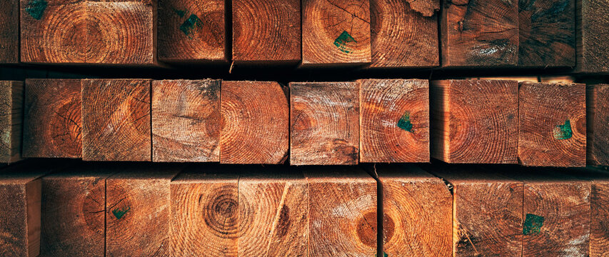 Stacked wooden beams viewed from the end, revealing distinctive annual growth rings, cracks and rich natural textures. Timber industry, woodworking, construction and rustic architecture.