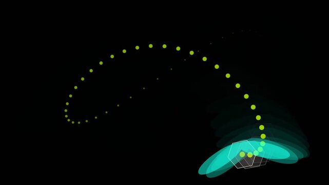 Minimalist geometric insect illustration featuring hexagonal body segments, bright pink wings, and colorful jointed legs against a dark background