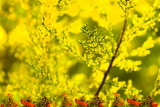 Golden Christmas Greeting Card with Pinecones and Sparkling Bokeh Lights Background