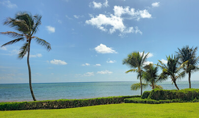 Caribbean Sea coastal landscape featuring palm trees, sandy beach, and manicured lawn. Suitable for travel marketing, vacation promotions, and tourism industry designs. © Alla