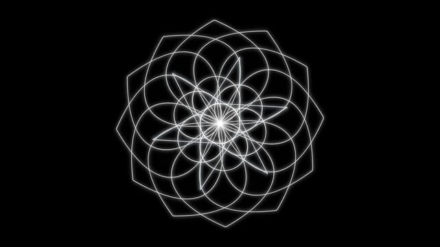 Abstract sacred geometry bloom seamless loop motion background with