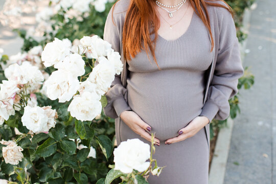 Pregnant woman wearing maternity clothes with rose flowers holding tummy in garden outdoors close up. Prenatal lifestyle.