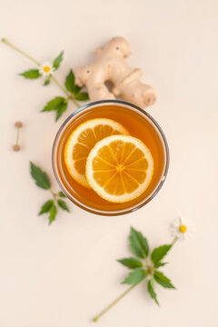 Healthy immune boosting concept with ginger lemon tea, honey and mint leaves for winter wellness remedies
