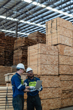 Checking lumber inventory inside the warehouse, two men review information together on a laptop beside stacked timber.