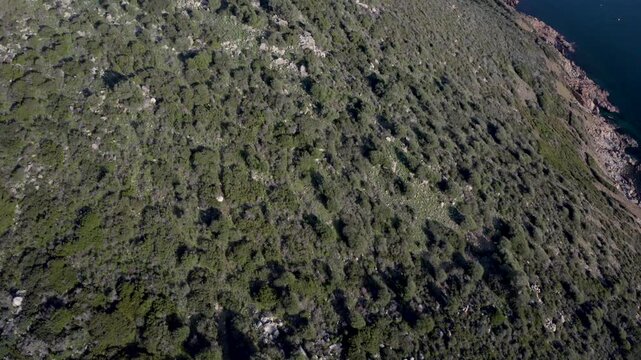 Golfe de Lava en hiver, Corse du Sud, vue de drone