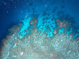 The Great Barrier Reef in the Coral Sea Australia, Norman Reef © Beautiful World