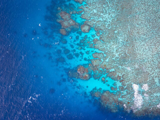 The Great Barrier Reef in the Coral Sea Australia, Norman Reef © Beautiful World