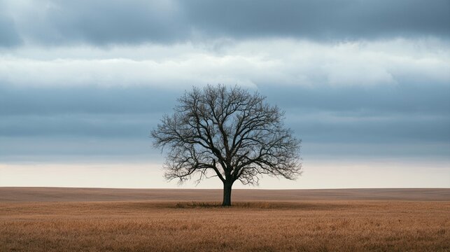 Peaceful Desolate Landscape with Single Tree and Copy Space