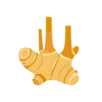 A vibrant and detailed illustration of a fresh ginger root, showcasing its distinctive shape and earthy tones on a clean white background.