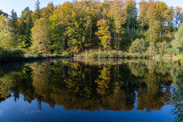 Jesienną porą  © Mateusz