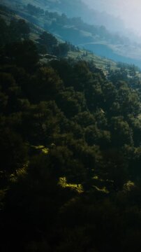 Green trees cover the mountainside in a landscape scene. Sunlight shines on the foliage. The image shows a natural setting during daytime with hills in the background.