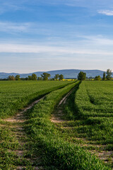 Polna droga i krajobraz © Mateusz