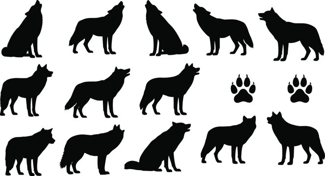 Wolves silhouettes set, howling and standing wild animals, paw prints icons vector design