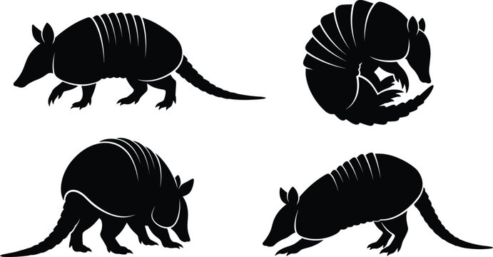 armadillo silhouette vector set, black wild armadillos collection in different poses for wildlife graphic design