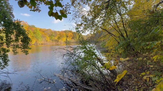 autumn in the forest by the lake 