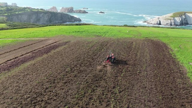 An aerial view of a red tractor raking harvested red algae seaweeds on a coastal field close to the ocean