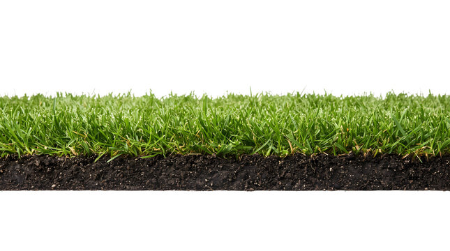 Fresh green lawn grass cross section with fertile soil layer ecological concept natural turf