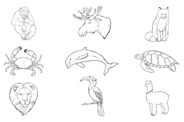 Naklejka premium Png animal sticker set black and white