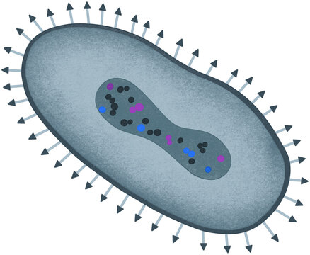 blue poxvirus illustration