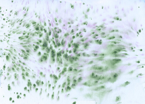 Soft Green and Purple Watercolor Bloom