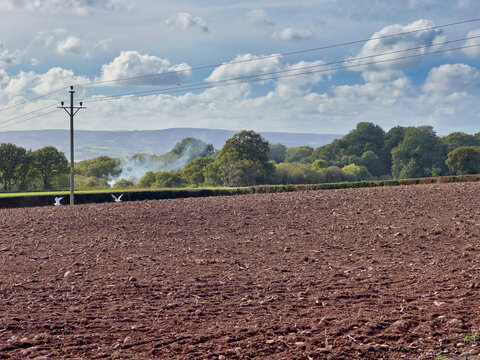 Ploughed Farm Field in Rural Devon Landscape with Telegraphed Pole and Cloud Sky